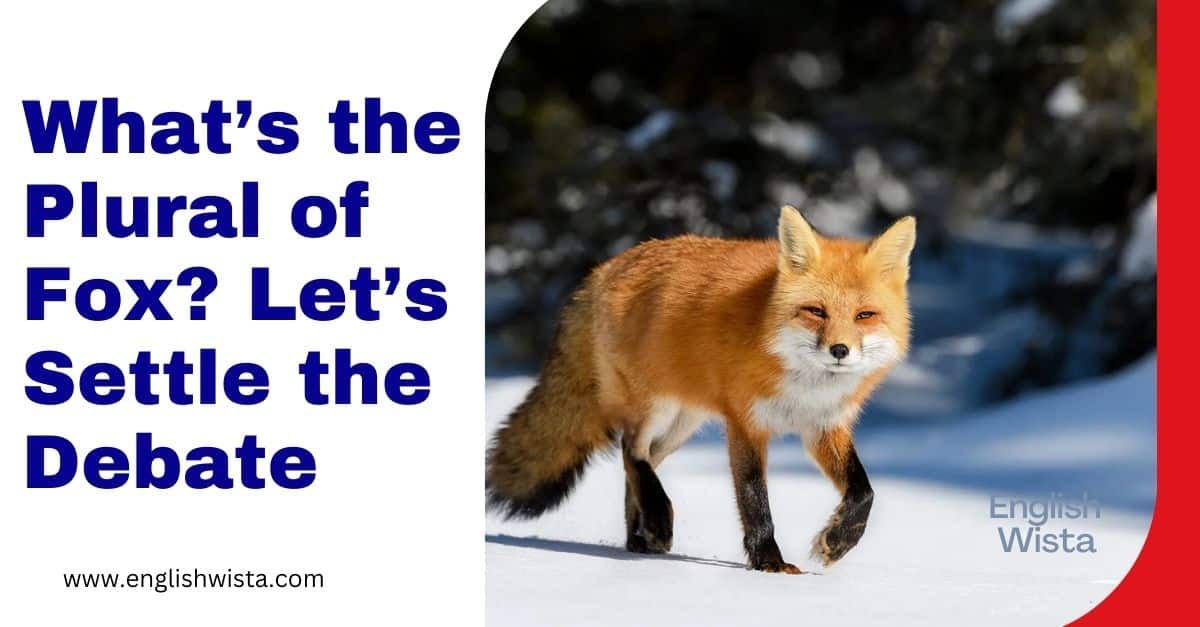 What’s the Plural of Fox? Let’s Settle the Debate