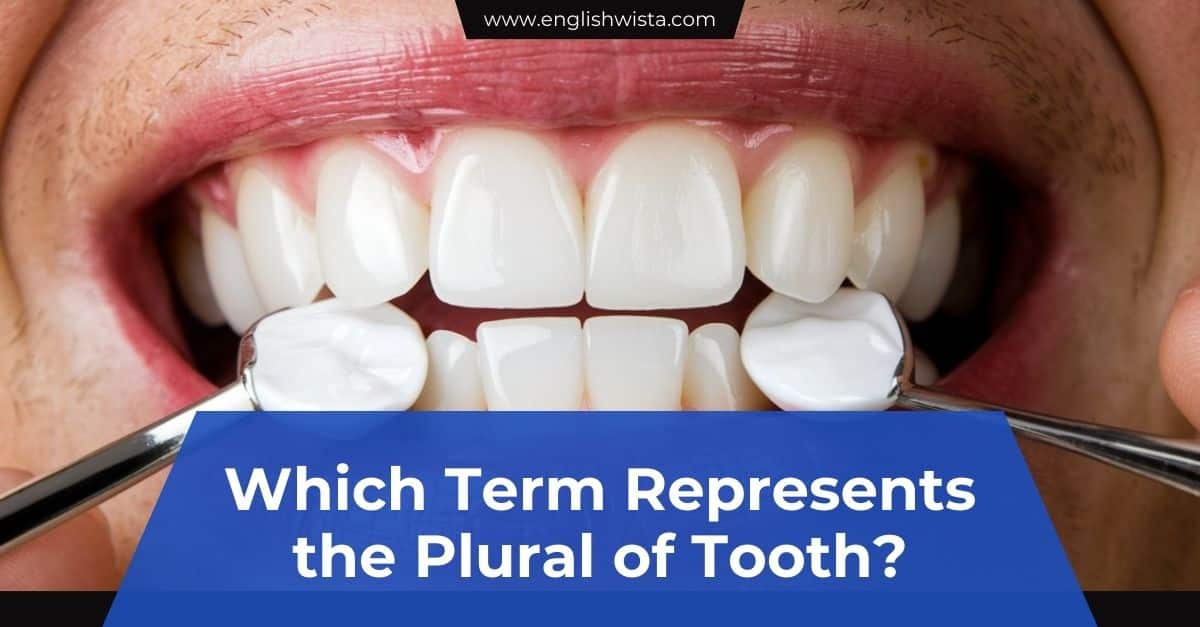 Which Term Represents the Plural of Tooth?