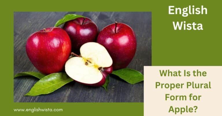 How to Write the Plural of Deer? - English Wista