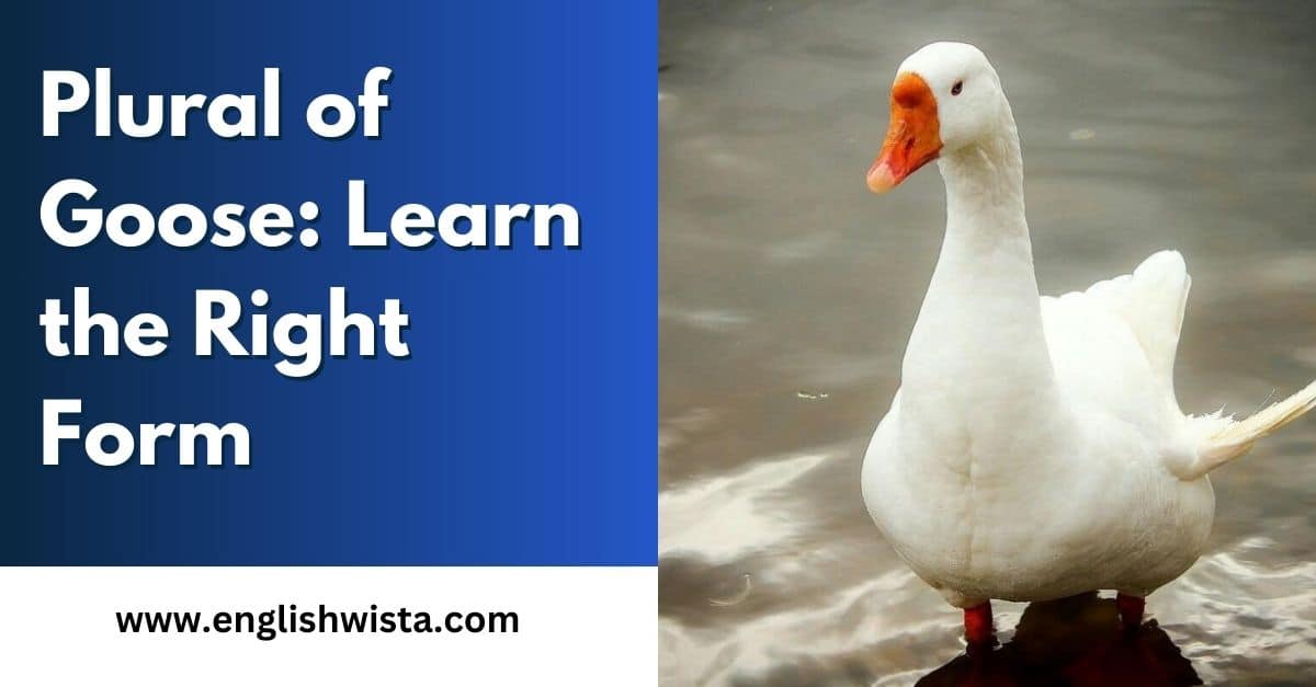 Plural of Goose: Learn the Right Form