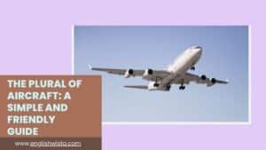Read more about the article The Plural of Aircraft: A Simple and Friendly Guide