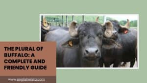 Read more about the article The Plural of Buffalo: A Complete and Friendly Guide