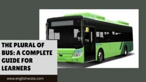 Read more about the article The Plural of Bus: A Complete Guide for Learners