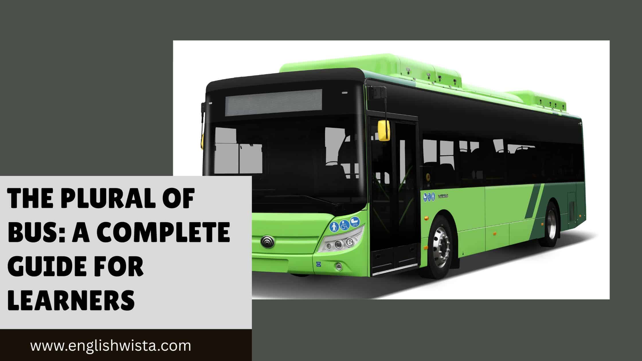 You are currently viewing The Plural of Bus: A Complete Guide for Learners