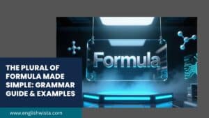 Read more about the article The Plural of Formula Made Simple: Grammar Guide & Examples