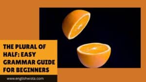 Read more about the article The Plural of Half: Easy Grammar Guide for Beginners