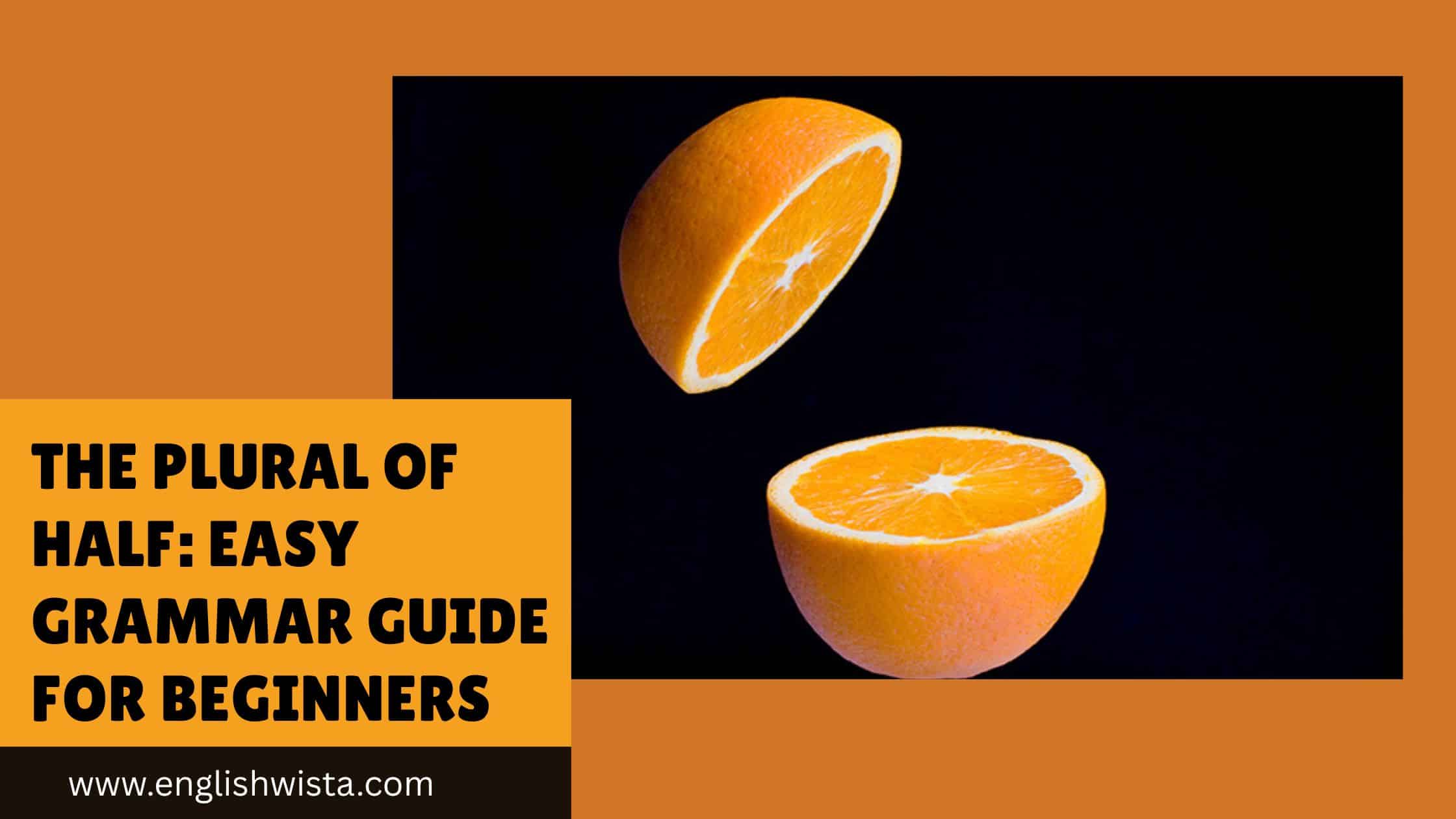 You are currently viewing The Plural of Half: Easy Grammar Guide for Beginners