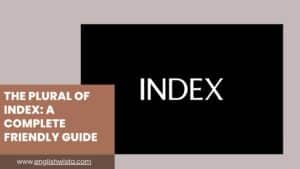 Read more about the article The Plural of Index: A Complete Friendly Guide