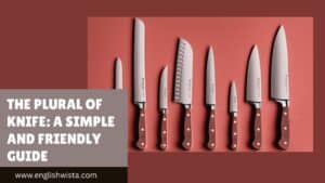 Read more about the article The Plural of Knife: A Simple and Friendly Guide