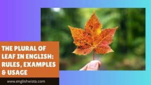 Read more about the article The Plural of Leaf in English: Rules, Examples & Usage
