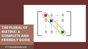 Read more about the article The Plural of Matrix: A Complete and Friendly Guide