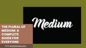 Read more about the article The Plural of Medium: A Complete Guide for Everyone