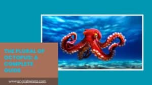 Read more about the article The Plural of Octopus: A Complete Guide