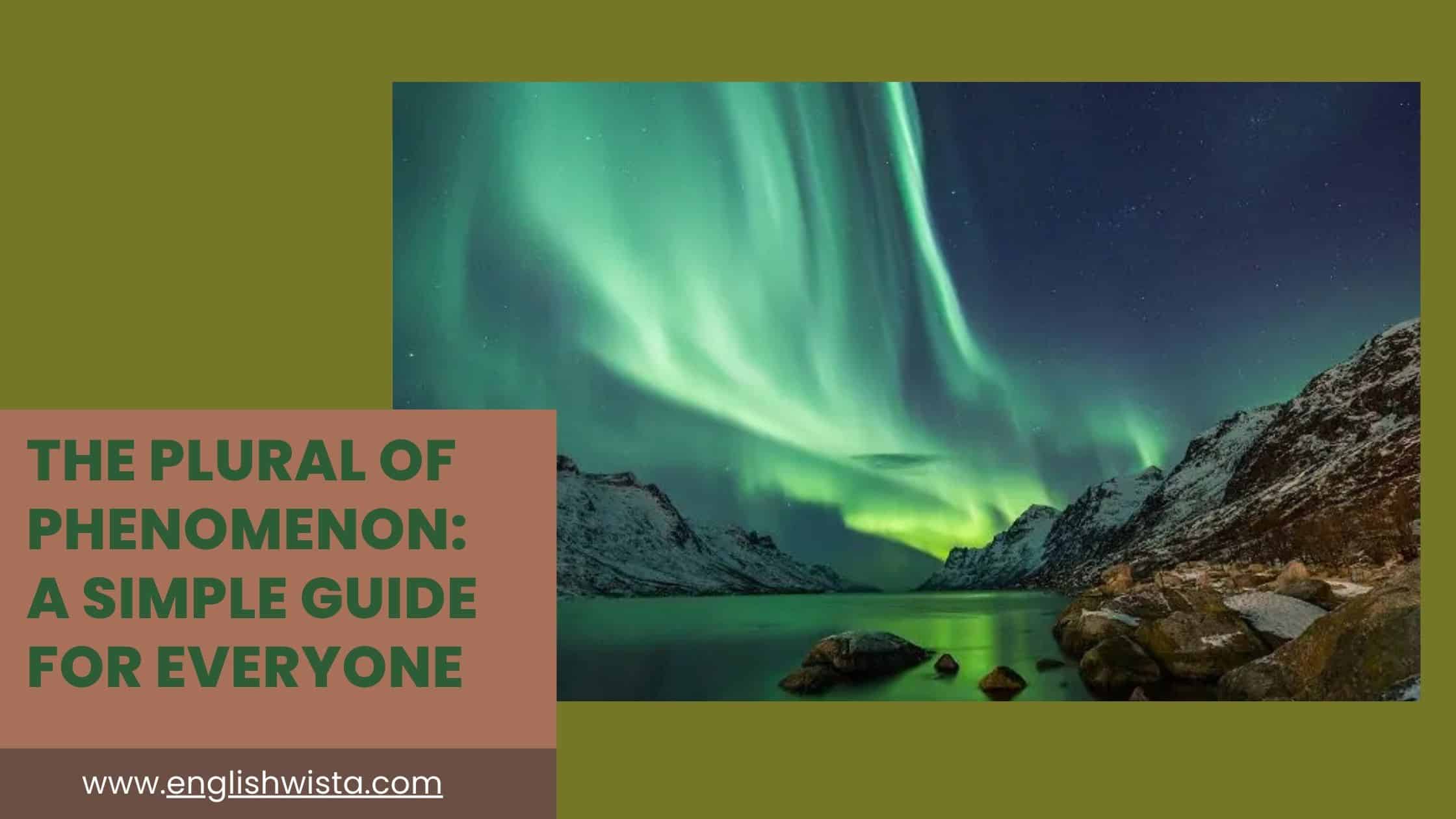 You are currently viewing The Plural of Phenomenon: A Simple Guide for Everyone