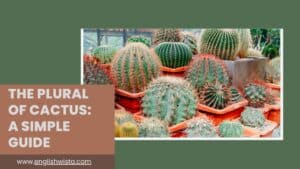 Read more about the article The Plural of Cactus: A Simple Guide
