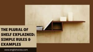 Read more about the article The Plural of Shelf Explained: Simple Rules & Examples
