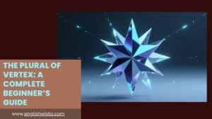 Read more about the article The Plural of Vertex: A Complete Beginner’s Guide