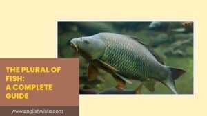 Read more about the article The Plural of Fish: A Complete Guide