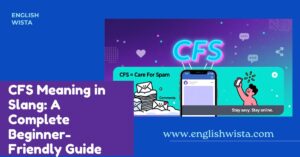 Read more about the article CFS Meaning in Slang: A Complete Beginner-Friendly Guide