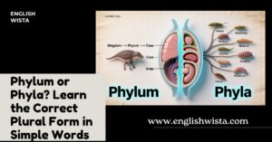 Read more about the article Phylum or Phyla? Learn the Correct Plural Form in Simple Words