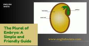 Read more about the article The Plural of Embryo: A Simple and Friendly Guide