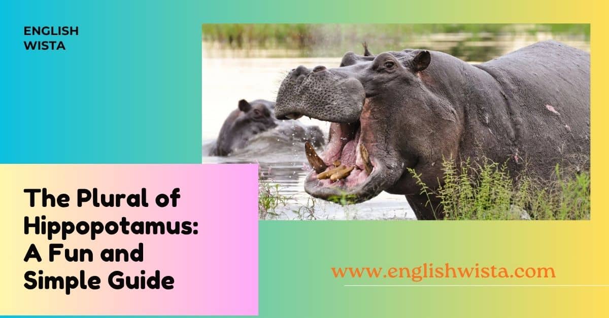 You are currently viewing The Plural of Hippopotamus: A Fun and Simple Guide