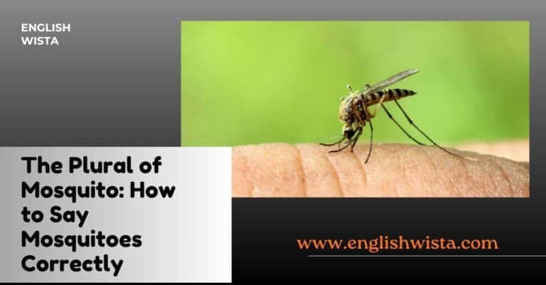 The Plural of Mosquito: How to Say Mosquitoes Correctly - English Wista