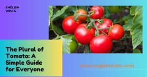 Read more about the article The Plural of Tomato: A Simple Guide for Everyone