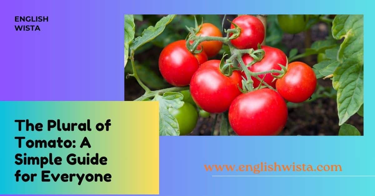 You are currently viewing The Plural of Tomato: A Simple Guide for Everyone