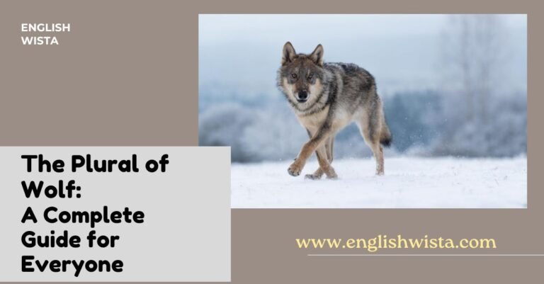 The Plural of Wolf: A Complete Guide for Everyone - English Wista