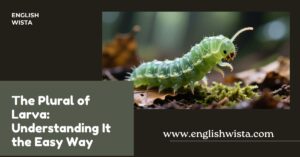 Read more about the article The Plural of Larva: Understanding It the Easy Way
