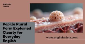 Read more about the article Papilla Plural Form Explained Clearly for Everyday English