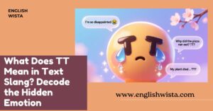 Read more about the article What Does TT Mean in Text Slang? Decode the Hidden Emotion