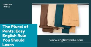 Read more about the article The Plural of Pants: Easy English Rule You Should Learn