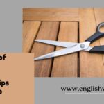 The Plural of Scissors Explained: Grammar Tips You Need to Know