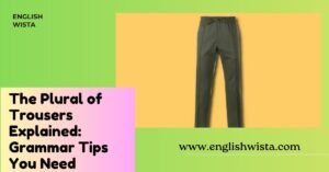 Read more about the article The Plural of Trousers Explained: Grammar Tips You Need
