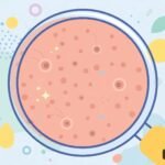 Pore vs Pour: What’s the Difference? Simple Guide with Examples