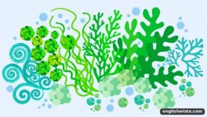 Read more about the article Understanding the Plural of Alga — A Simple and Friendly Guide