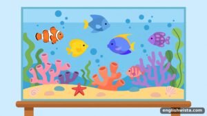 Read more about the article The Plural of Aquarium: A Simple and Friendly Guide