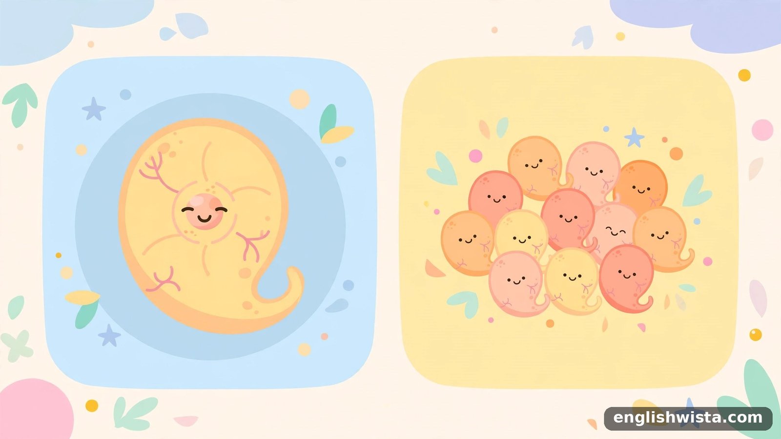 One Embryo and many Embryos