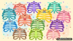 Read more about the article Thorax Plural Form Explained in Simple Words