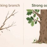 Weak vs Week: What’s the Difference? Simple Guide with Examples